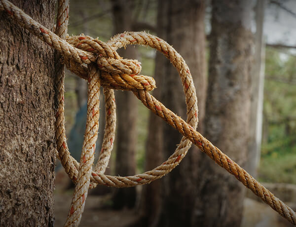 How to Make the Tax Code Work for You