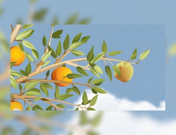 A Fruitful Retirement: Social Security Benefit